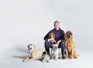 Entretien avec Jim Milio, coproducteur de Dog Whisperer 