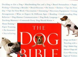 La Bible du Chien :Entretien avec Tracie Hotchner 