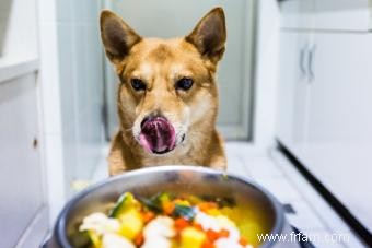 Comment raffermir les selles de chien avec de la citrouille 