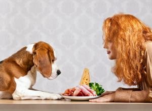 Les chiens peuvent-ils manger du jambon ? Conseils de sécurité que tous les propriétaires devraient connaître 