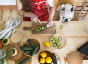 Les chiens peuvent-ils avoir des concombres ? Explorer ces friandises à faible teneur en calories 