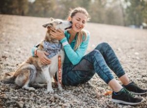 Comment rendre la course avec vos chiens sûre et sans stress 