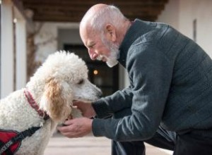 Que sont les chiens d assistance psychiatrique et à quoi servent-ils ? 