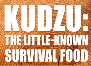 Kudzu :la nourriture de survie méconnue 