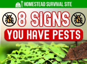 8 signes que vous avez des parasites dans votre jardin 