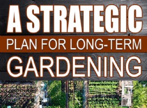 Un plan stratégique pour le jardinage à long terme 