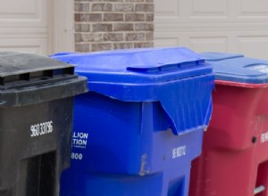 Comment se débarrasser naturellement de l odeur des poubelles 