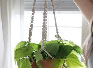 11 plantes d intérieur à faible entretien que même vous ne pouvez pas tuer 