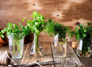 La meilleure façon de conserver les herbes fraîches 