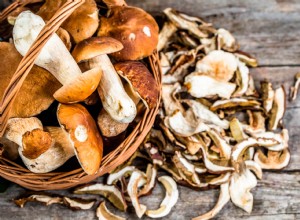 C est la vraie différence entre les champignons blancs, cremini et portobello 