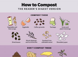 Comment faire du compost à la maison pour enrichir votre jardin 