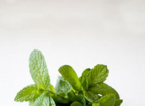 Salsa aux petits fruits et à la menthe avec pépites de sucre à la cannelle 