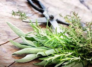 Savourez des herbes fraîches toute l année 