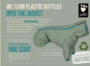 Cet imperméable écologique pour chiens a été fabriqué à partir de 15 bouteilles en plastique 