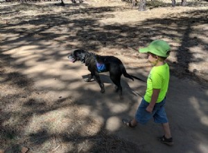 Ce gilet pour chien garde votre chiot au frais au camping 