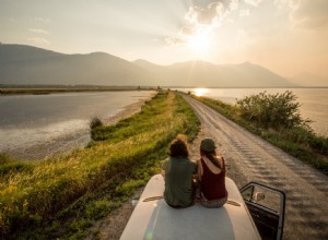 Les 4 meilleures camionnettes pour les débutants et les pros de Van Life 