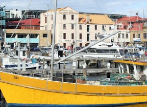 Tasmanie - Une destination de voyage écologique parfaite 