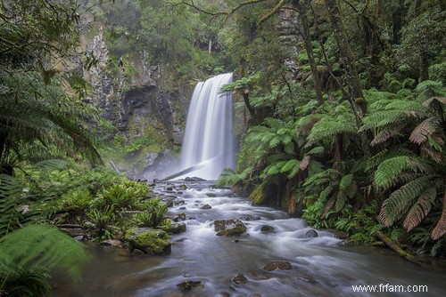 Voyage en voiture en Australie :7 spots le long de la Great Ocean Road 