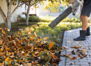 Éliminez le travail de votre jardin 