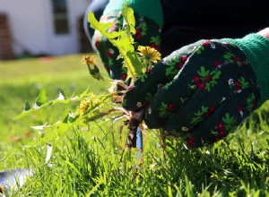 Tout est dans la famille - 5 corvées d été pour les enfants 