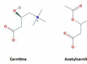 Maigrir grâce à la L-carnitine ? + Les signes d’un déficit