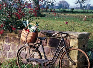 Entretenir son vélo : freins et pédalier