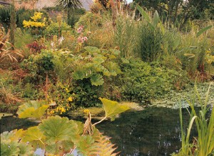 Une jungle apprivoisée dans son jardin