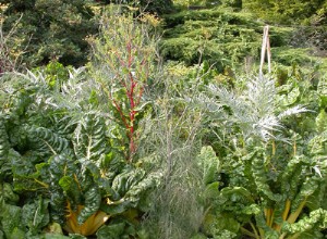 La polyculture plutôt que la monoculture