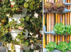 DIY : comment fabriquer un potager vertical ?