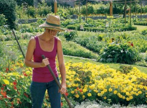 Jardin : comment bien organiser son potager