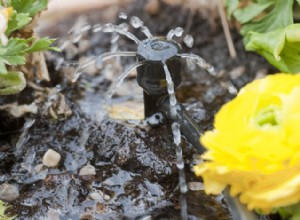 Monter un système d’arrosage par micro-irrigation