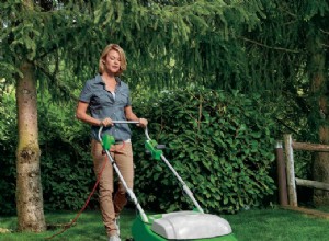 Choisir un scarificateur électrique