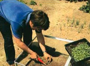 Montage dun châssis métallique en kit pour jardin