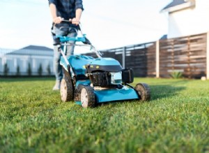 Choisir entre une tondeuse autotractée et une tondeuse poussée