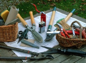 Outils de jardin : entretenir les lames